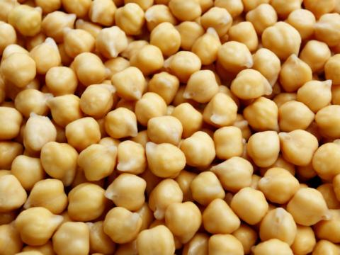 Chickpea
